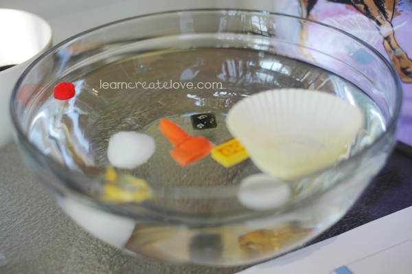 Sink or Float Experiment with Printable