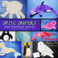 arcticanimals