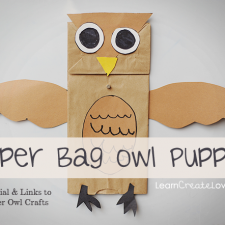 owl-009