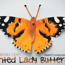 paintedlady-016