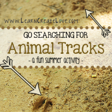 tracks (6)