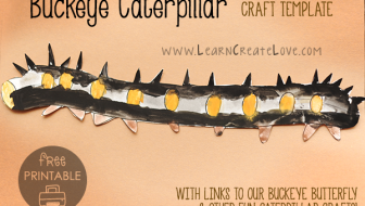 buckeyecaterpillar