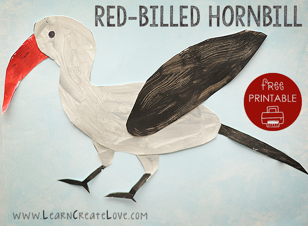 redbilledhornbill