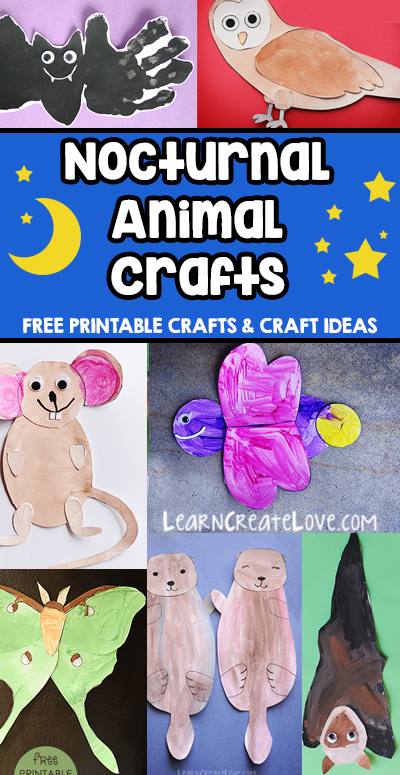 Nocturnal Animals Craft Round-Up | LearnCreateLove