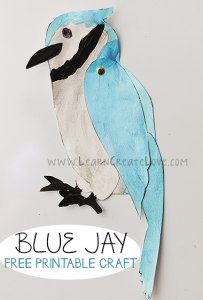 Blue Jay Printable Craft