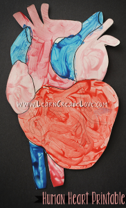 Human Heart Printable Craft