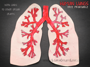 Printable Lungs Craft