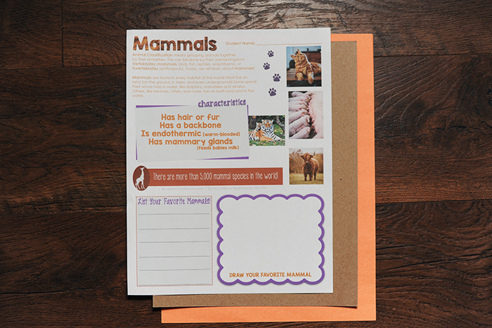 Printable Mammals Worksheet